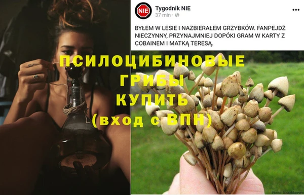 кристаллы Алзамай