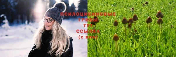 прущие крисы Алексин