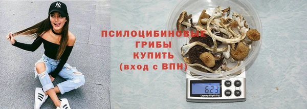 прущие крисы Алексин