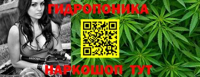 стафф Пыть-Ях